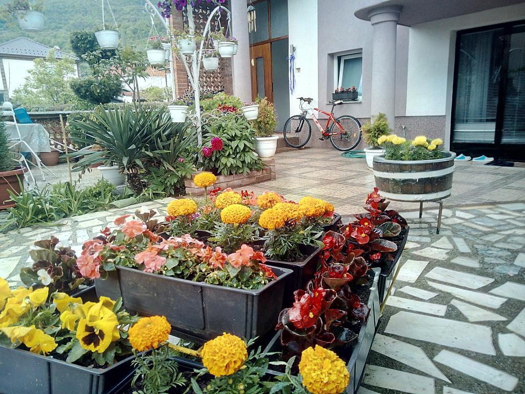 Lile Pestani Accommodation Exterior photo